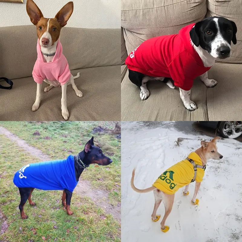 2024 Winter Dog Hoodies